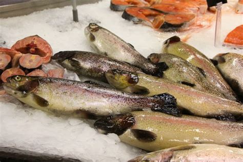 Калининградские компании будут экспортировать рыбную продукцию в Южную ...