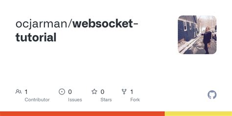 Image result for WebSocket Tutorial