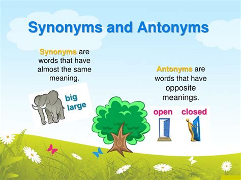 Synonym Definition 的图像结果