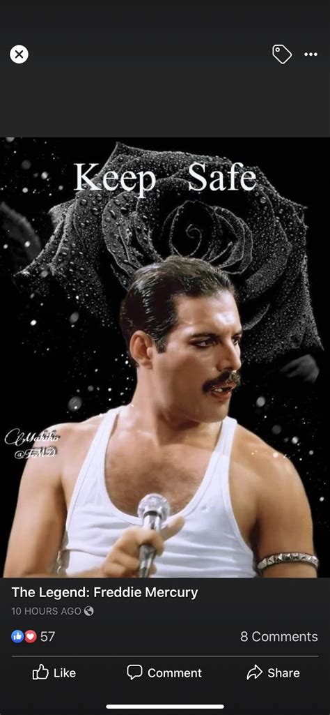 Pin by tonia marino on Freddie in 2020 | Movie posters, Freddie mercury ...