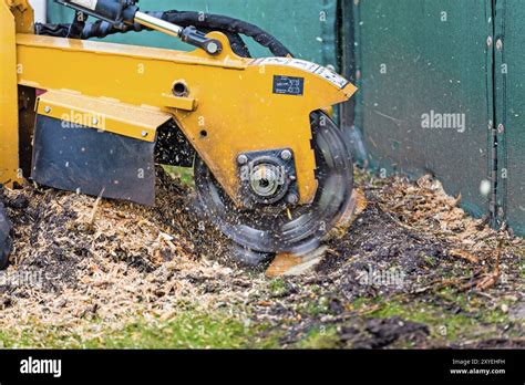 Image result for Tree Stump Grinder