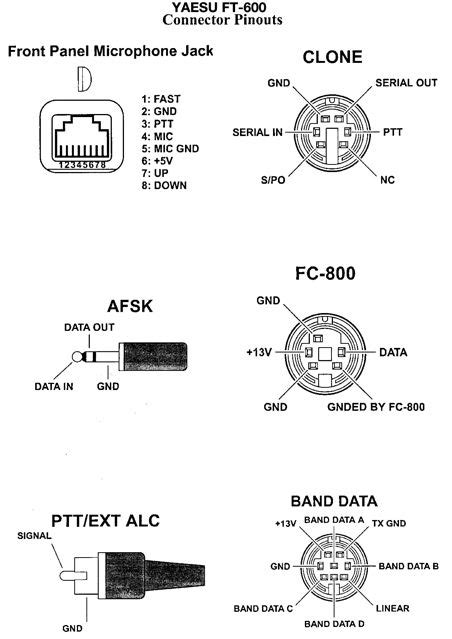 Image result for Date Data Type Example