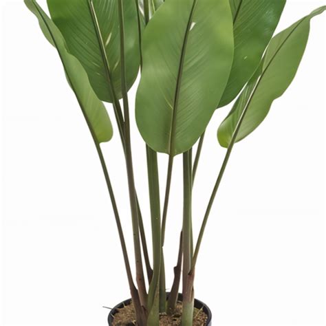 Artificial Bird of paradice 4.8 Ft