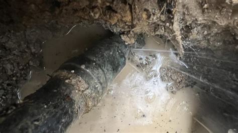 ProPlumber 3-ft Bury Depth Frost Resistant 3/4-in Female Blue Brass ...