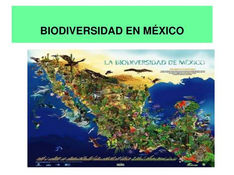 Image result for TiO2 Nanoarray