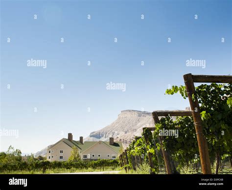 The palisade colorado hi-res stock photography and images - Alamy