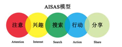 SEO整站优化经验_SEO优化思维策略技巧分享_DD博客