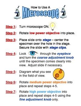 Image result for How To Use A Microscope For Elementary Students