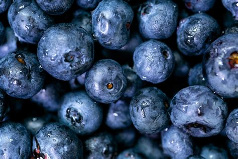 How Many Pints Are In A Pound Of Blueberries - Fruits Knowledge World