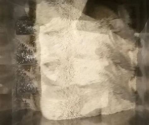 Rice Fortification Project | Lark Engineering