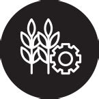 Go DESi - Handmade Snacks, Traditional & 100% Natural