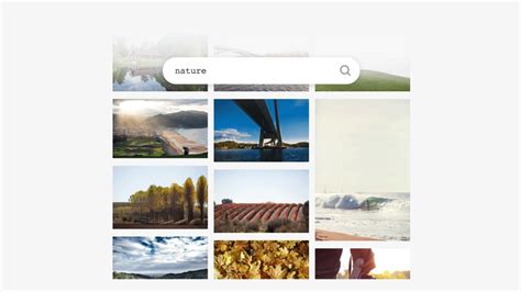 Image result for Unsplash API