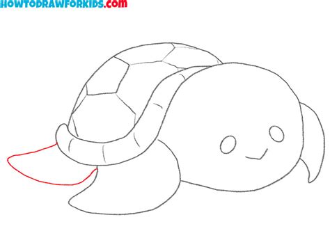 Image result for Simple Turtle Drawing