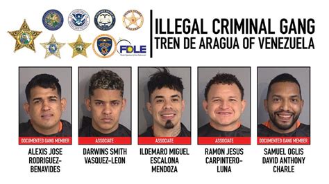 5 undocumented immigrants linked to Venezuelan 'Tren De Argua' gang ...