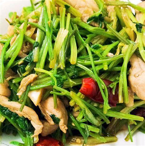 【酸菜炒肥肠的做法步骤图，酸菜炒肥肠怎么做好吃】东方西餐_下厨房