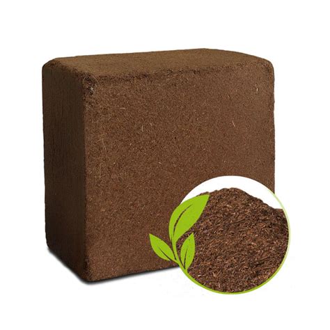 Cocopeat Block Organic Fertilizer and Soil Manure Potting Mixture for ...