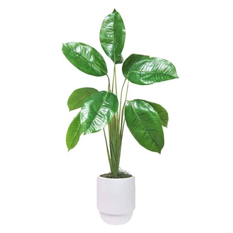 Split-Leaf Plant in Layered Ceramic Pot, 36"
