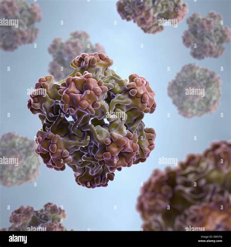 Structure small virus-like particles assembled L1 protein human papillomavirus 16 (PDB 1DZl ...