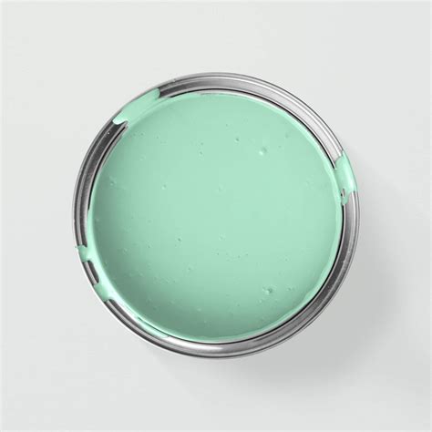 Mint Green Paint Wilko Walls & Ceilings Mint Crisp Matt Emulsion Paint