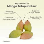 Organic Mandya Totapuri Raw Mango Online – Fresh Tangy Mangoes