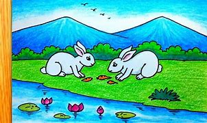 Image result for Marsh Rabbit Drawing