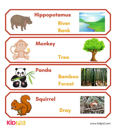 Animal Habitats - Kidpid