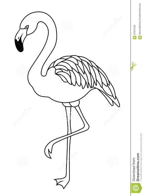 flamingo line drawing