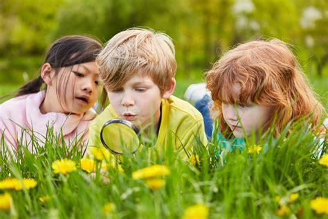 Act Like a Child: How to Promote Curiosity - Elevated Achievement Group, Inc