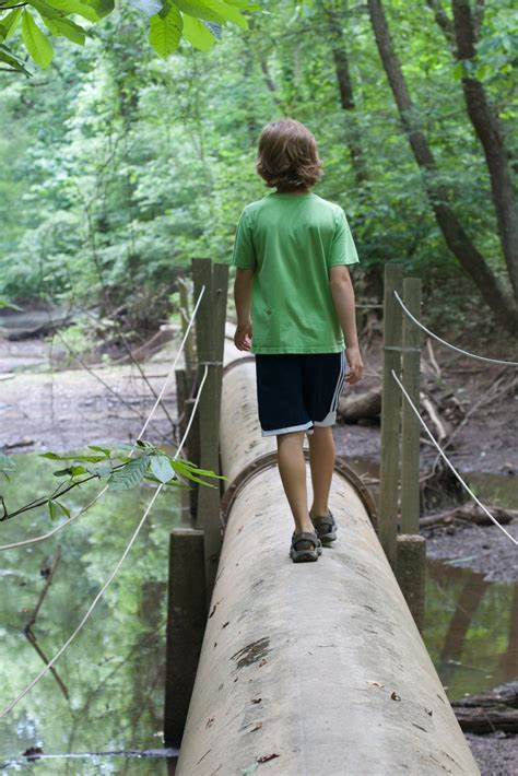 Walk-In Nature 的图像结果