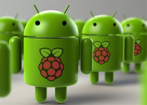 Image result for Raspberry Pi Android