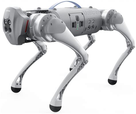 UniTree Go1 Pro Rwview 的图像结果