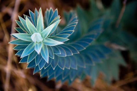 Image result for Greek Language Tutorial