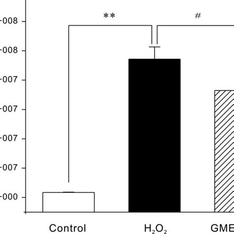 H2O2 HT22 的图像结果