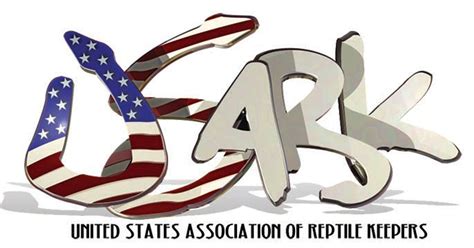 Buy Zilla Micro Habitat Terrarium Enclosure for Small Tree Dwelling ...