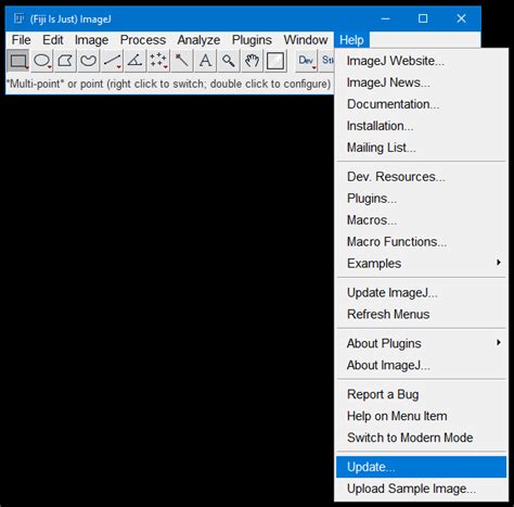 Fiji ImageJ Download 的图像结果