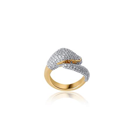 Image result for Lion vs Python Ring