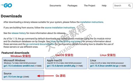 Image result for Go Programming Language Download