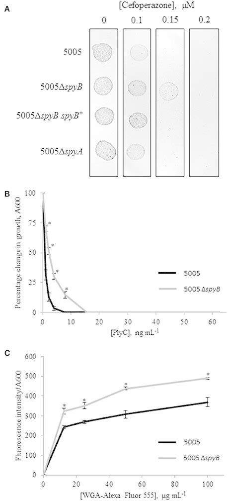 Image result for PyPy 005B