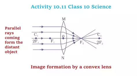 Image result for Class 10 Science Difference Between
