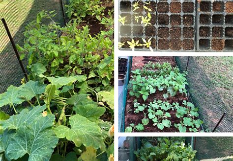 Natural Farming Methods 的图像结果