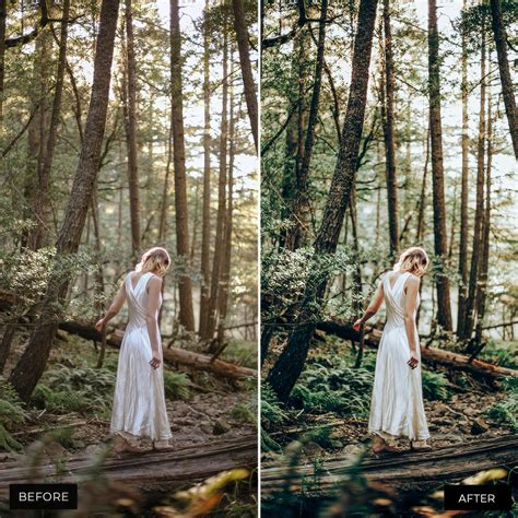 Forest Lightroom Presets Collection in 2025 | Vintage lightroom presets ...