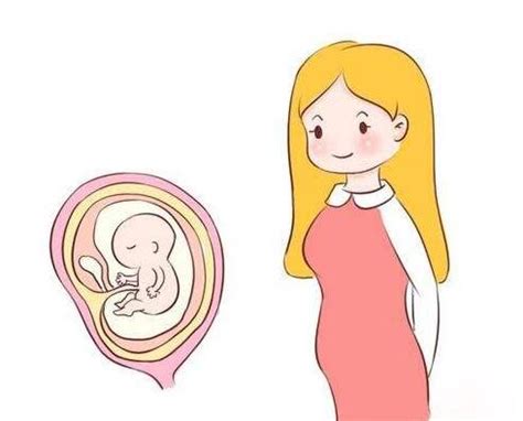 出现胎停育后该如何处理?多久才能再次备孕？ - 知乎