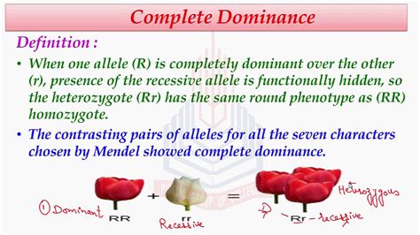 Dominant Biology Definition