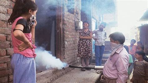 Delhi losing battle against mosquitoes, poor strength of officials to ...