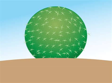 Image result for How to Tell Direction without Compass