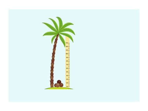 Image result for Real-World Examples of Complementary Angles