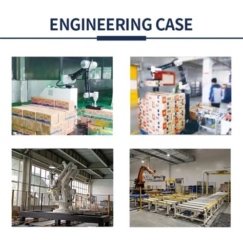 Collaborative Robot Palletizing 的图像结果