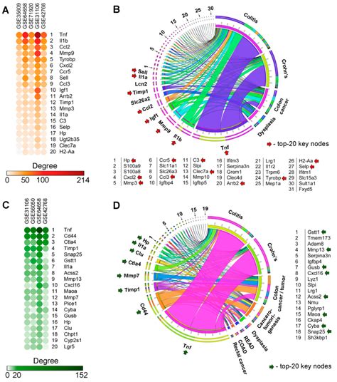 Identification of Novel Core Genes Involved in Malignant Transformation ...