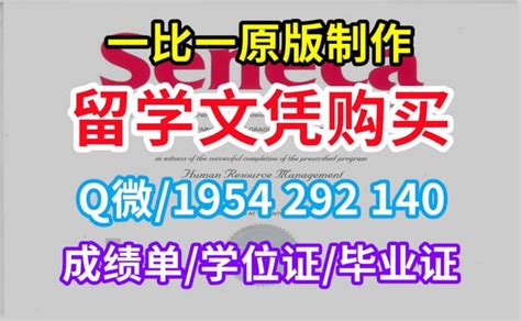 英国文凭一站式服务：德蒙福特大学毕业证实拍图文凭学历证书办理步骤 | PPT