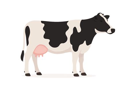 Cow Gestation Calculator - Estimate Calving Date (Cow Pregnancy Tool)